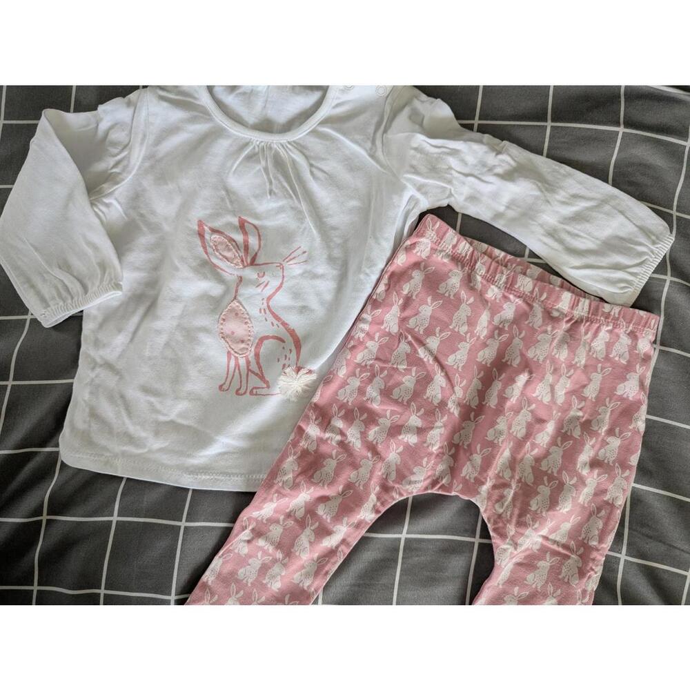 Next bunny outfit